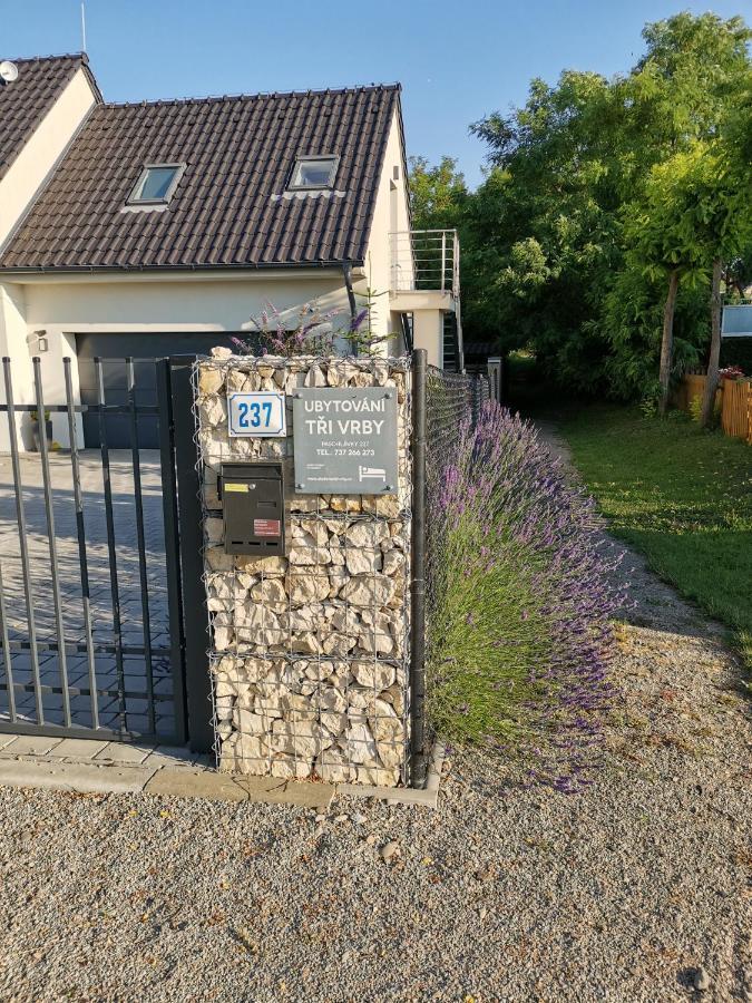 Ubytovani Tri Vrby Pasohlavky Exterior photo